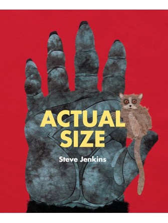 Actual Size
