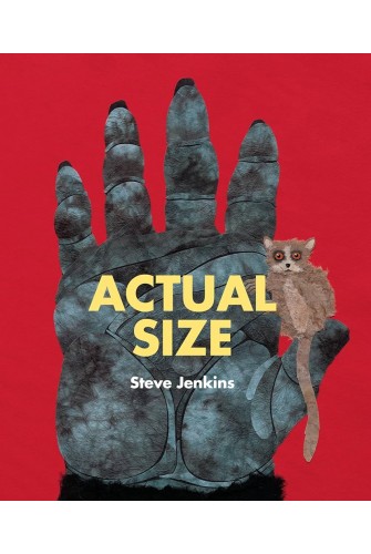 Actual Size