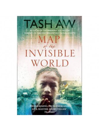 Map of the Invisible World