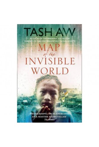Map of the Invisible World