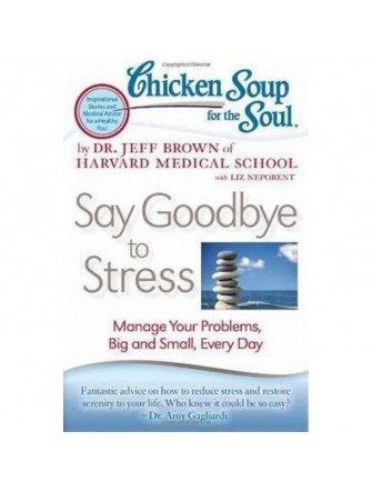 Chicken Soup For the Soul: Say Goodbye To Stress: Manage Your Problems, Big and Small, Every Day
