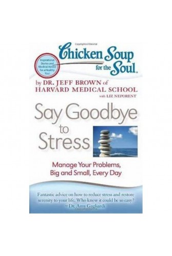 Chicken Soup For the Soul: Say Goodbye To Stress: Manage Your Problems, Big and Small, Every Day